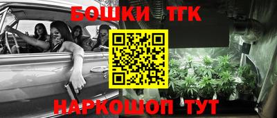 Альфа ПВП Бердск