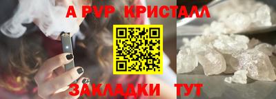 СК Белореченск